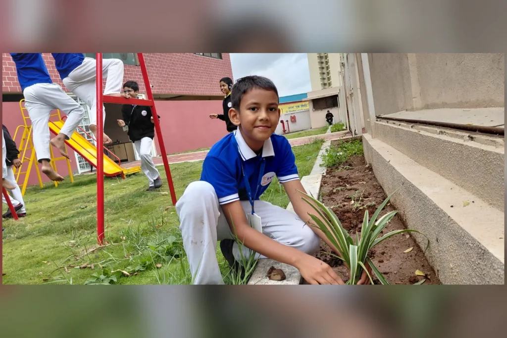 A student planting a sapling in the bed beside the play area